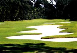 Ridgewood Lakes GolfL2 FL.jpg - Teebone Golf Courses Images